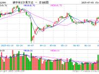 星空体育官方入口-关于汇总：珀尔特尔4年1.04亿续约猛龙邓罗3年4800万赴活的信息